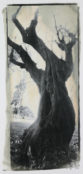 alberi stampa analogica tampone