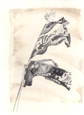 bandiere del porto